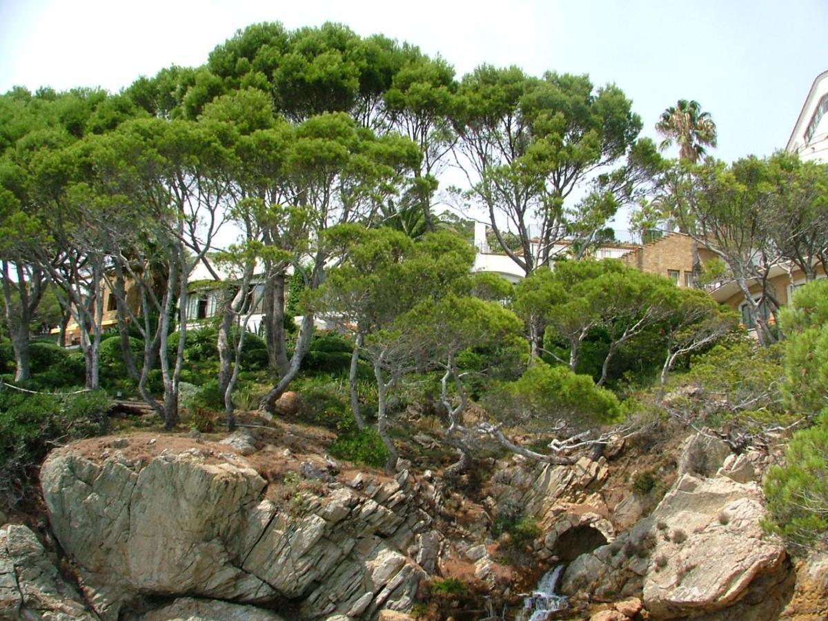 Cap Sa Sal Navy, Begur, Girona Apartment Exterior photo